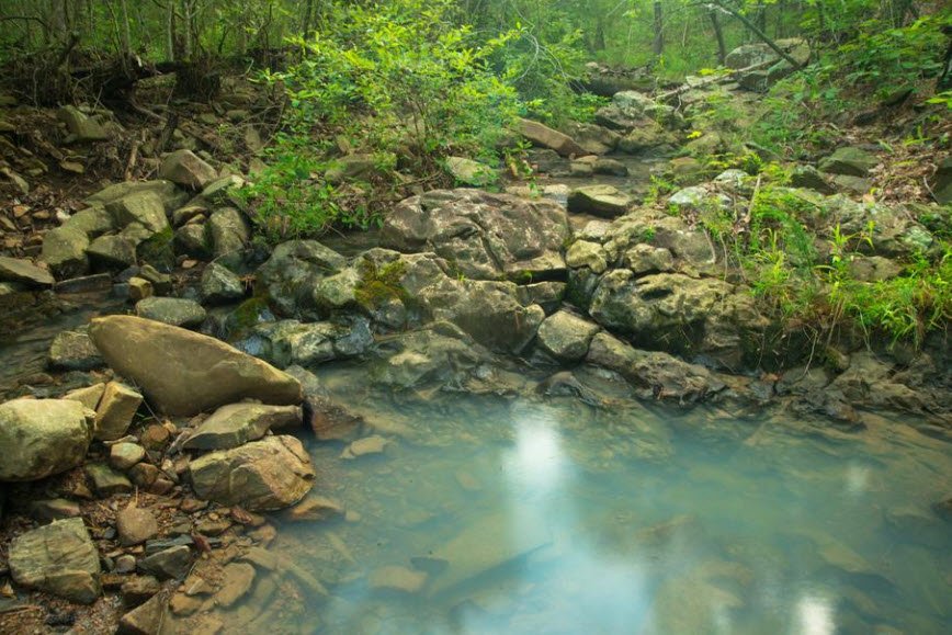 Talimena State Park, Oklahoma, USA